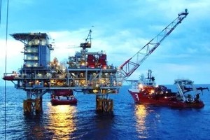 Phó Thủ tướng yêu cầu PVN tập trung vào lĩnh vực tìm kiếm, thăm dò và khai thác dầu khí