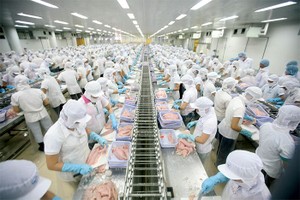 Nhiều cổ đông đã mất trắng
 khi bỏ vốn vào AVF