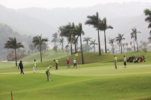 Nhiều doanh nhân tìm đến sân golf để giải tỏa áp lực công việc