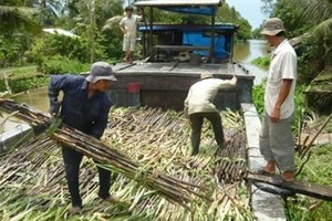 (Ảnh chỉ mang tính minh họa - Nguồn: Internet)