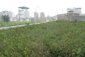 Huyện Gia Lâm đề nghị UBND Thành phố Hà Nội sớm phê duyệt mức giá khởi điểm để làm cơ sở đấu giá đất (Ảnh minh hoạ)