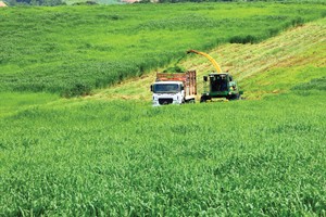 Với sự tham gia của nhiều doanh nghiệp lớn, Việt Nam đang hiện thực hóa giấc mơ cường quốc nông nghiệp