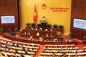 Luật Doanh nghiệp là luật gia nhập thị trường, làm cho thực thể thị trường tự do hoạt động