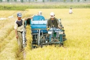 Việt Nam đang trở thành thị trường tiềm năng cho các loại máy nông nghiệp