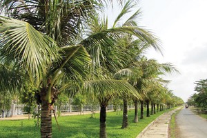 Hãy mua nhà bằng cả trái tim