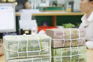 Xuất khẩu quý I/2015 có khả năng bị ảnh hưởng do đồng USD tăng mạnh
