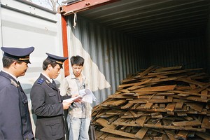 Thiếu sự kết nối, chia sẻ thông tin, kế thừa thủ tục giữa các cơ quan quản lý