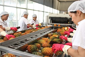 Theo ADB, hiện chỉ có 36% DN Việt Nam tham gia vào mạng lưới xuất khẩu