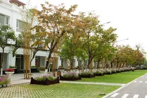 Ngành ngân hàng đặt mục tiêu tăng các khoản tín dụng xanh