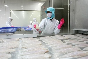 Ước tính, tổng giá trị xuất khẩu thủy sản quý I/2015 đạt 1,27 tỷ USD, giảm 23%