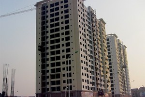 Căn hộ tầm trung nhận được sự quan tâm lớn của khách hàng có nhu cầu mua nhà