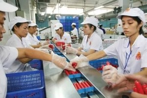 Không chỉ CJ, hiện có rất nhiều đối tác cùng quan tâm tới việc chào mua cổ phần của Vissan. Ảnh: Lê Toàn