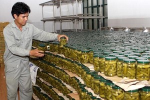 Động lực phát triển nông nghiệp phải đến từ doanh nghiệp