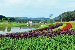 Flamingo Đại Lải Resort chính thức mở bán biệt thự Forest