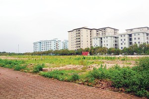 Khu đất này được quy hoạch cho các khối nhà 8 - 9 tầng trong dự án giãn dân phố cổ
