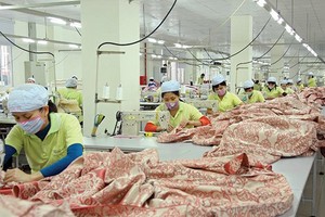 Sản phẩm của EVE đang hướng tới các thị trường xuất khẩu khó tính như: Mỹ, Nhật Bản và châu Âu 