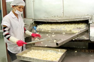 Cải thiện môi trường kinh doanh là yêu cầu bức thiết hiện nay