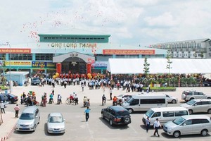 D2D thoái vốn tại N2C, xin đầu tư đường ven sông Cái