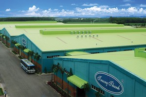 Hiện tại, tổng đơn hàng xuất khẩu của TTF trị giá 36,8 triệu USD