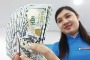 Việc mở cửa thị trường tài chính ngân hàng đón nhận đầu tư nước ngoài là một xu hướng mạnh mẽ hiện nay - Ảnh: Lê Toàn