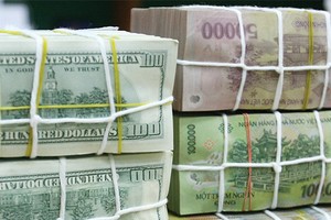 ANZ dự báo VND mất giá 3,1% cho cả năm