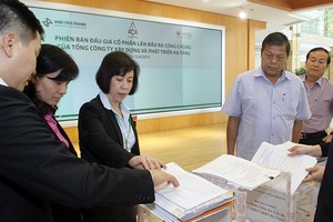 Dự kiến, quy mô khi mua cổ phần theo lô là toàn bộ hoặc trên 50% số lượng cổ phần của DNNN cần bán 