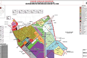 Phần diện tích xây dựng Dự án nhà ở thấp tầng Ninh Hiệp chồng lấn lên diện tích mà các hộ dân ở đây đang nhận thầu khoán