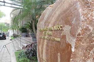 NHNN không có dư địa để cho Chính phủ vay ngoại tệ