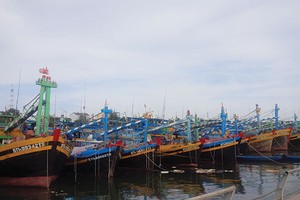 Số lượng tàu và thuyền viên được bảo hiểm đang tăng nhanh