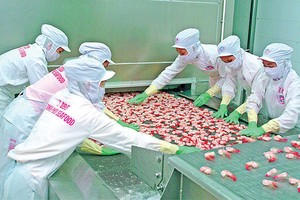 VietinBank mua 1.000 tỷ đồng trái phiếu Minh Phú