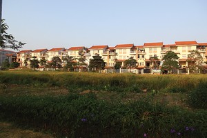 Thị trường địa ốc 5 tháng: Tốt lỏi!