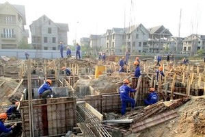 Ảnh minh hoạ. Nguồn: Internet