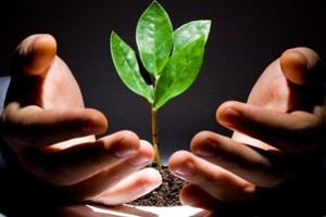 Quỹ cổ phiếu TCEF tập trung đầu tư vào những nhóm cổ phiếu của các công ty đầu ngành (Ảnh Internet)