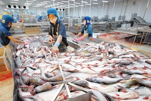 Kế hoạch rời sàn của VTF được nhìn nhận nằm trong dự liệu của công ty mẹ HVG