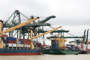 Bảo hiểm tín dụng thương mại được đánh giá còn nhiều tiềm năng trong dài hạn