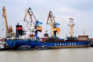 Tổng công ty Hàng hải Việt Nam (Vinalines) đang có khoản vốn góp trị giá khoảng 100 tỷ đồng tại Công ty cổ phần Cảng Vinalines Đình Vũ.