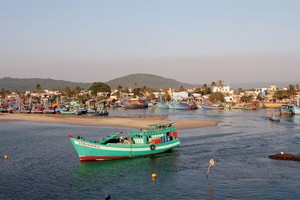 Số lượng tàu cá tham gia bảo hiểm tăng mạnh nhờ chương trình hỗ trợ của Chính phủ  