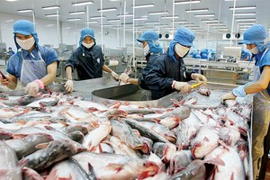 Đầu ra cho các mặt hàng nông thủy sản đang rất khó khăn