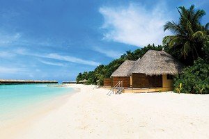 Những nỗi đau mang tên… sốt đất!