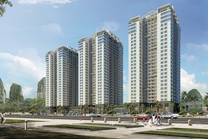Mở bán Chung cư Newlife Tower Hạ Long