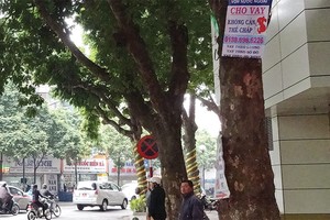 Xu hướng thành lập CTTC được đẩy mạnh trong những năm qua