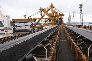 Việc chênh lệch tỷ giá đã làm phát sinh khoản lỗ cho TKV khoảng 1.200 tỷ đồng