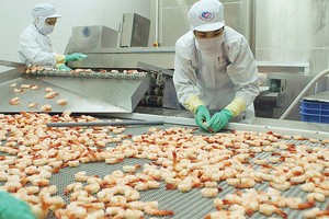 8 tháng đầu năm, xuất khẩu tôm sang Mỹ của Việt Nam chỉ đạt 370 triệu USD 