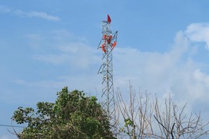 Công nhân Tổng công ty Điện lực Miền Bắc đang dựng cột đưa điện về vùng sâu vùng xa tỉnh Sơn La