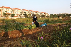 Hà Nội chuẩn bị đấu giá nhiều khu đất