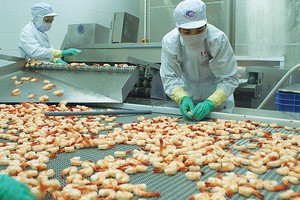 Để tận dụng thời cơ lớn từ hội nhập, DN Việt cần xác định thế mạnh, cải thiện sức cạnh tranh