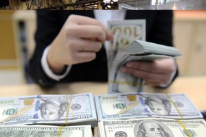 Việc giảm lãi suất huy động USD lần này sẽ giảm tâm lý găm giữ USD, giúp thực hiện lộ trình chống đô-la hóa