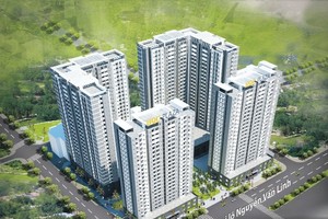 Chỉ bán được 1 triệu CP cho cổ đông hiện hữu, HQC quay sang chào bán 62 triệu CP còn lại cho NĐT riêng lẻ