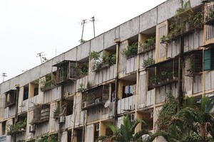 Theo Nghị định mới, việc cải tạo, xây dựng lại nhà chung cư phải được triển khai thực hiện theo dự án, không thực hiện việc xây dựng lại đơn lẻ từng nhà