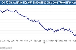Bài học từ kinh tế Nhật Bản và nỗi đau của Trung Quốc
